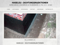 haseleu-abdichtungen.de Webseite Vorschau