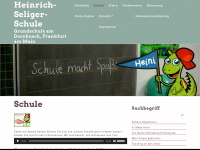 heinrich-seliger-schule.de Webseite Vorschau