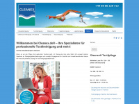 cleanex.de Webseite Vorschau