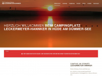 camping-am-duemmer.de Webseite Vorschau