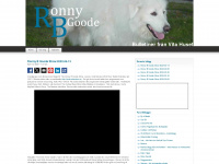 ronnybgoode.se Webseite Vorschau