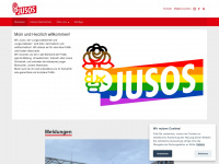 jusos-delmenhorst.de Webseite Vorschau