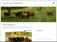 dalkenhof.de Webseite Vorschau