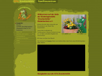 kita-drachenhoehle.de Webseite Vorschau