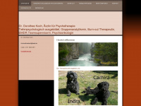 dr-dorothee-koch.de Webseite Vorschau