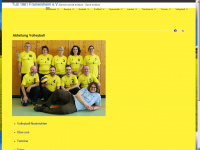 volleyball-framersheim.de Webseite Vorschau