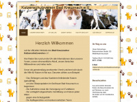 katzenschutzverein-bad-kreuznach.com Webseite Vorschau