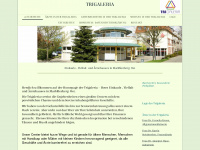 trigaleria.de Webseite Vorschau
