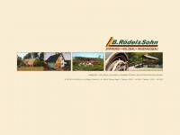 roedel-holzbau.de Webseite Vorschau