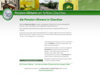 pension-glauchau.de Webseite Vorschau