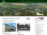 gruena-online.de Webseite Vorschau