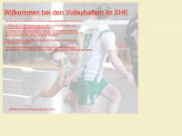 volleyballkreisliga-shk.de Thumbnail