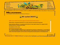 wildhornets.de Webseite Vorschau