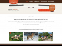 fjordpferdehof-eitenmueller.de Webseite Vorschau