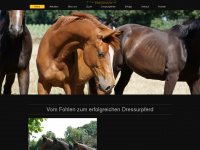 pferdezucht-heumann.de Webseite Vorschau