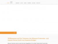 susanne-krueger-online.de Webseite Vorschau