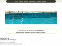 schwimmschule-barbara-nestler.de Webseite Vorschau