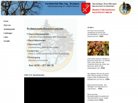 baumpflege-krumpen.de Webseite Vorschau