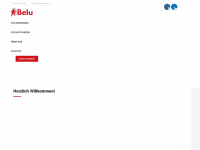 belu-service.de Webseite Vorschau