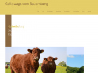 bauernberg-galloways.de Webseite Vorschau