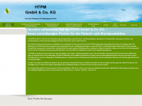 htpm-gmbh.de Webseite Vorschau