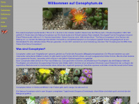 conophytum.de Webseite Vorschau