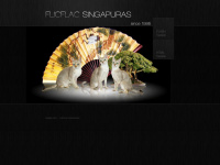 singapuras.at Webseite Vorschau