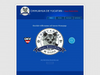chihuahua.at Webseite Vorschau