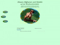 afghanen.at Webseite Vorschau