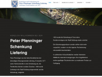 pfenninger.at Webseite Vorschau