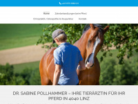 pferdechiropraktik.at Webseite Vorschau