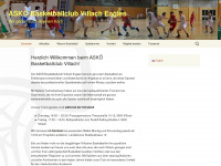 basketball-villach.at Webseite Vorschau