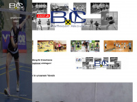 badminton-alkoven.at Webseite Vorschau