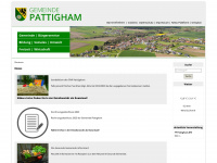 pattigham.at Webseite Vorschau