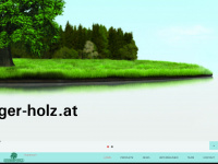 hanger-holz.at Webseite Vorschau