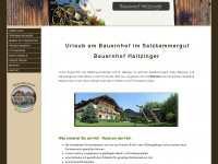 haitzinger.at Webseite Vorschau