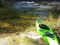 kayak.at Webseite Vorschau