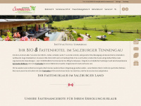 biohotel-sommerau.at Webseite Vorschau