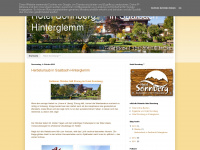 saalbach-hotels.at Webseite Vorschau