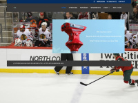 eishockeyschiri.at Thumbnail