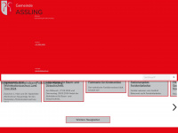 assling.at Webseite Vorschau