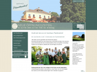 planoetzenhof.at Webseite Vorschau