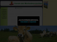 murbodner.at Webseite Vorschau