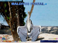 maldive.at Webseite Vorschau