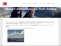 amweg.ch Webseite Vorschau