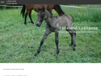 lakeland-lusitanos.ch Webseite Vorschau