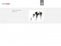 bunte-hunde.com Webseite Vorschau