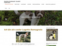lagotto-swiss.ch Webseite Vorschau