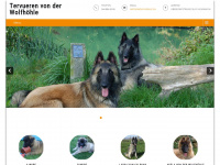 wolfhoehle.ch Webseite Vorschau