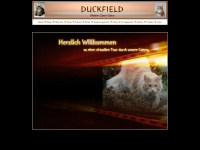 duckfield.ch Webseite Vorschau